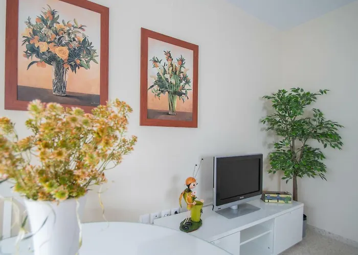 Cadiz's Angel Appartement